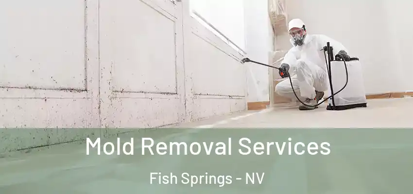  Mold Removal Services Fish Springs - NV