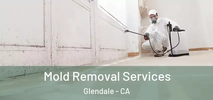 Mold Removal Services Glendale - CA