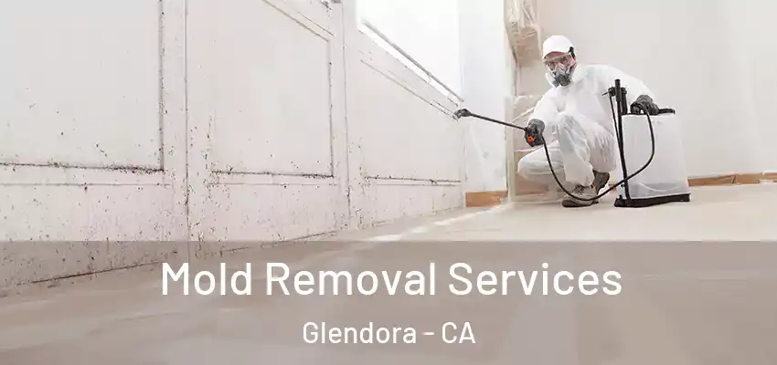 Mold Removal Services Glendora - CA