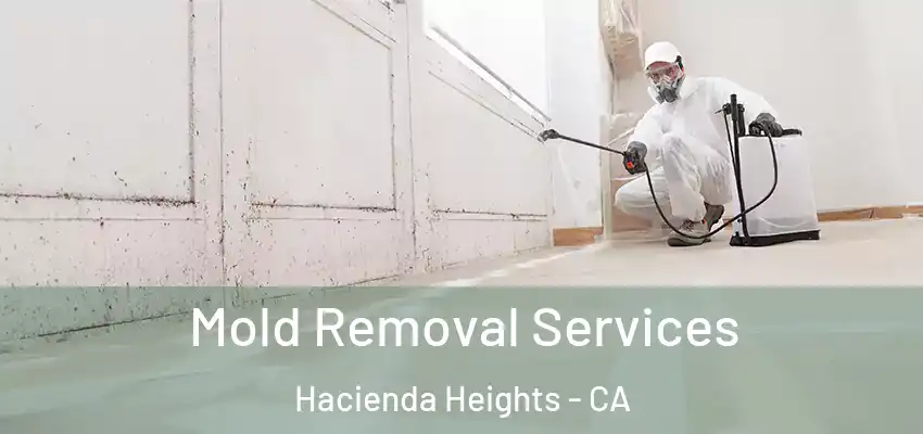  Mold Removal Services Hacienda Heights - CA
