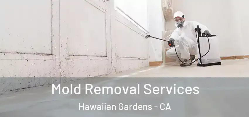  Mold Removal Services Hawaiian Gardens - CA