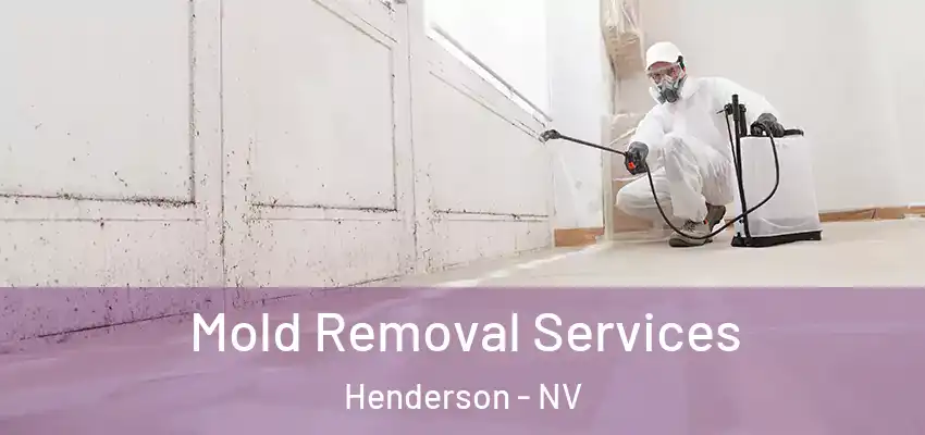  Mold Removal Services Henderson - NV