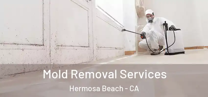  Mold Removal Services Hermosa Beach - CA