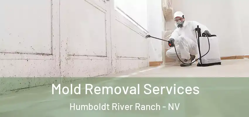  Mold Removal Services Humboldt River Ranch - NV