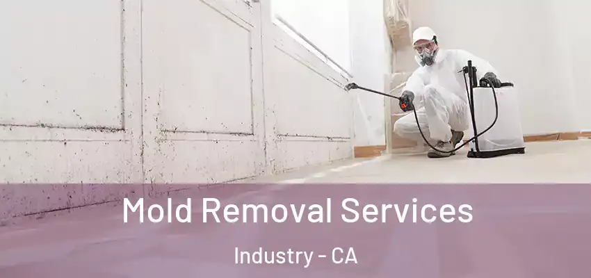 Mold Removal Services Industry - CA