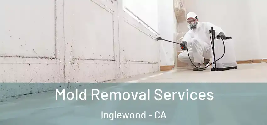  Mold Removal Services Inglewood - CA