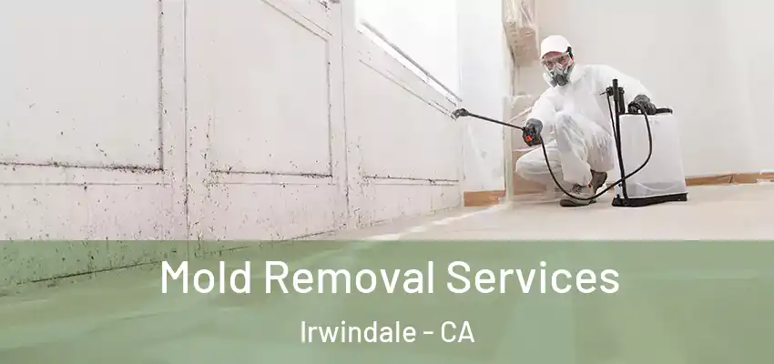 Mold Removal Services Irwindale - CA