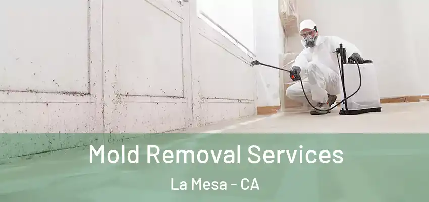  Mold Removal Services La Mesa - CA