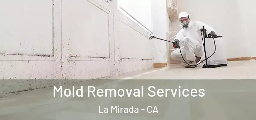  Mold Removal Services La Mirada - CA