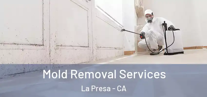  Mold Removal Services La Presa - CA