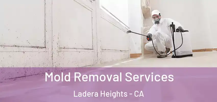  Mold Removal Services Ladera Heights - CA