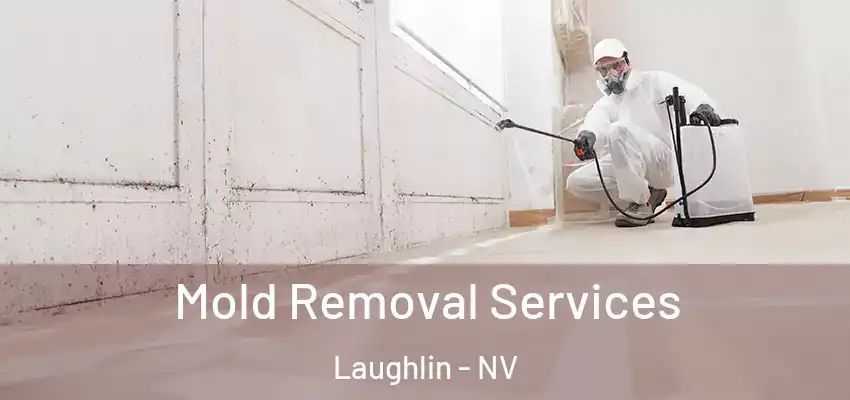Mold Removal Services Laughlin - NV