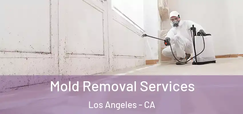 Mold Removal Services Los Angeles - CA