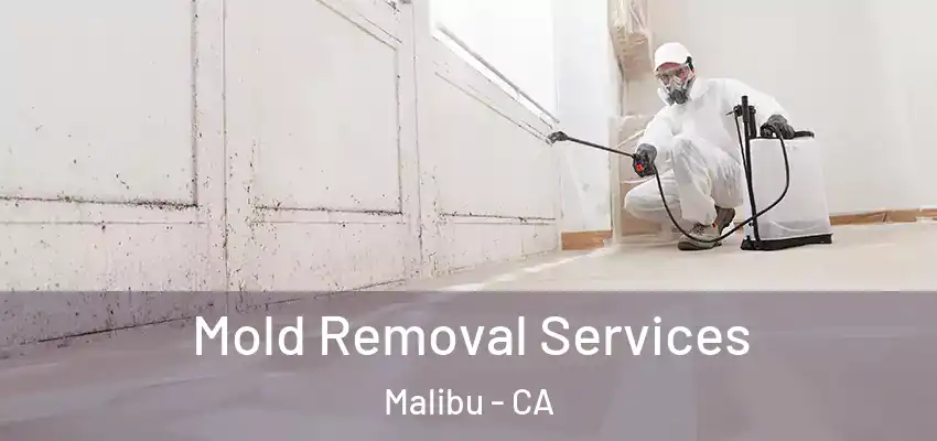 Mold Removal Services Malibu - CA