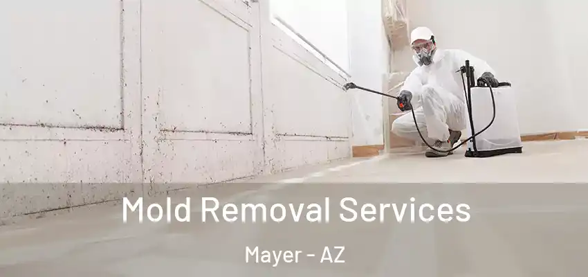  Mold Removal Services Mayer - AZ