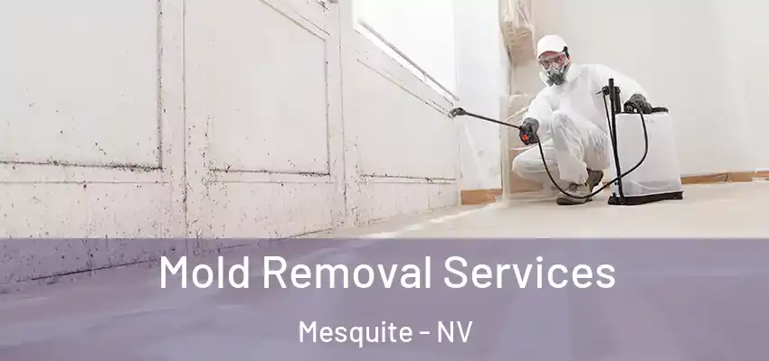 Mold Removal Services Mesquite - NV