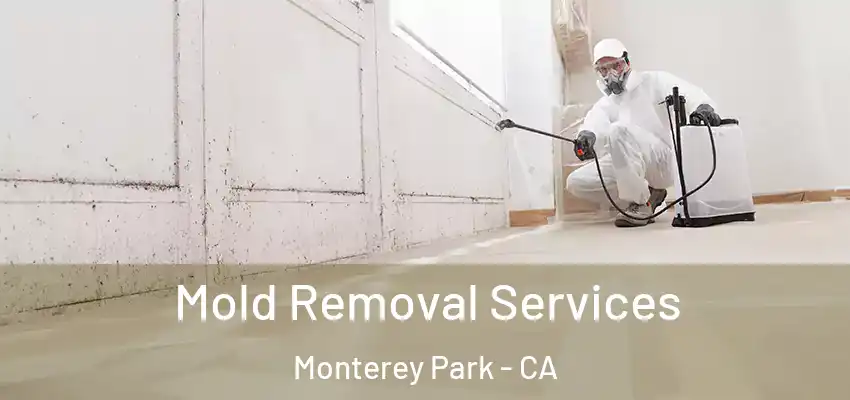  Mold Removal Services Monterey Park - CA