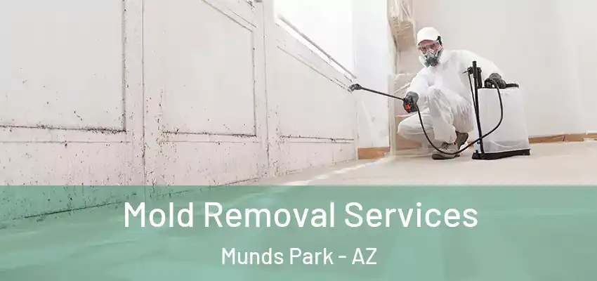  Mold Removal Services Munds Park - AZ