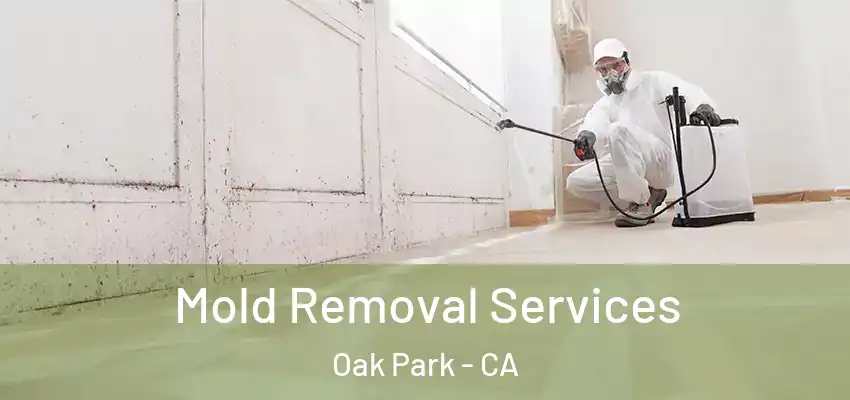  Mold Removal Services Oak Park - CA
