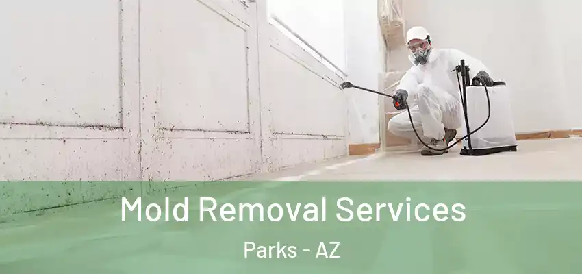 Mold Removal Services Parks - AZ