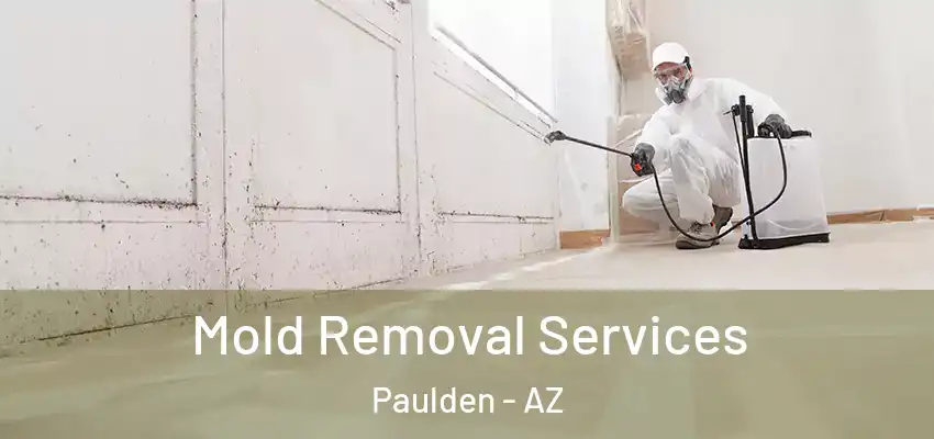  Mold Removal Services Paulden - AZ
