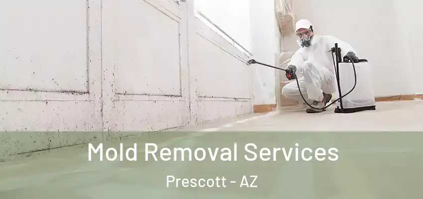 Mold Removal Services Prescott - AZ
