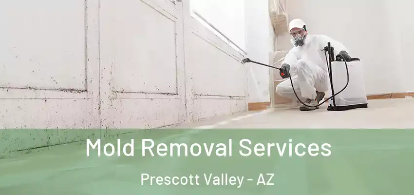  Mold Removal Services Prescott Valley - AZ