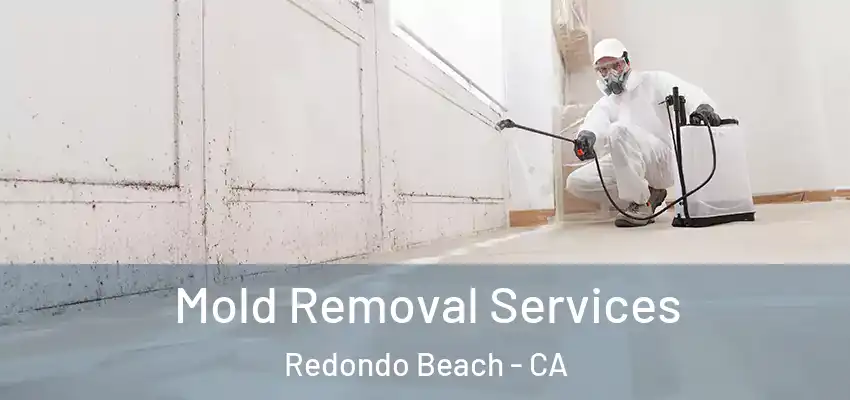  Mold Removal Services Redondo Beach - CA