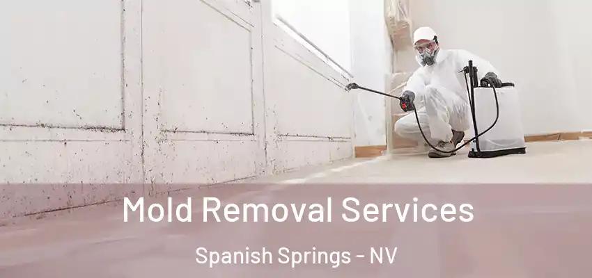 Mold Removal Services Spanish Springs - NV