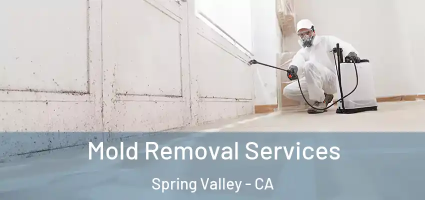 Mold Removal Services Spring Valley - CA