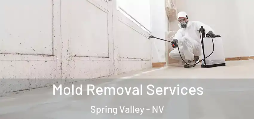 Mold Removal Services Spring Valley - NV
