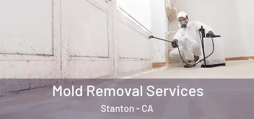 Mold Removal Services Stanton - CA