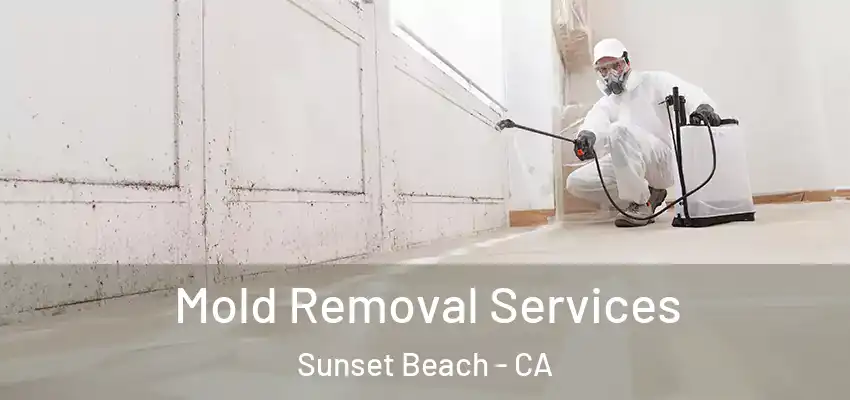 Mold Removal Services Sunset Beach - CA