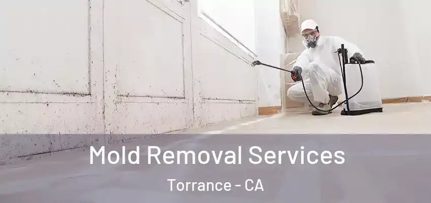 Mold Removal Services Torrance - CA
