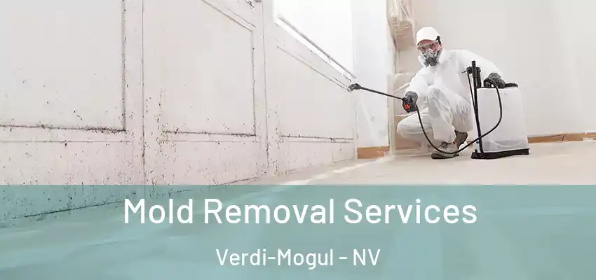 Mold Removal Services Verdi-Mogul - NV