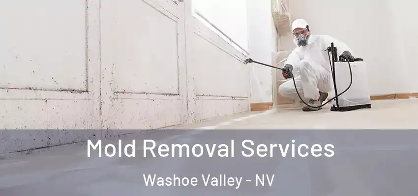 Mold Removal Services Washoe Valley - NV