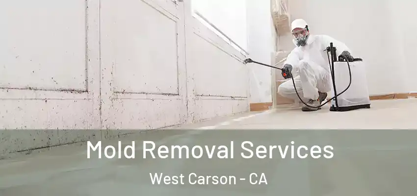 Mold Removal Services West Carson - CA