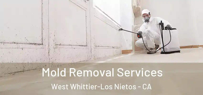 Mold Removal Services West Whittier-Los Nietos - CA