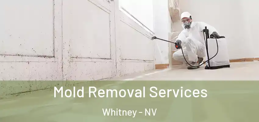  Mold Removal Services Whitney - NV