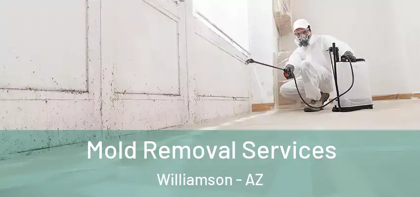  Mold Removal Services Williamson - AZ