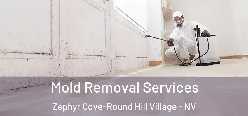 Mold Removal Services Zephyr Cove-Round Hill Village - NV