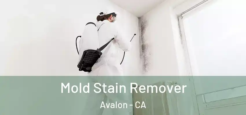  Mold Stain Remover Avalon - CA