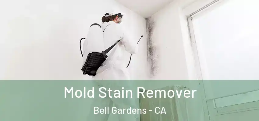  Mold Stain Remover Bell Gardens - CA