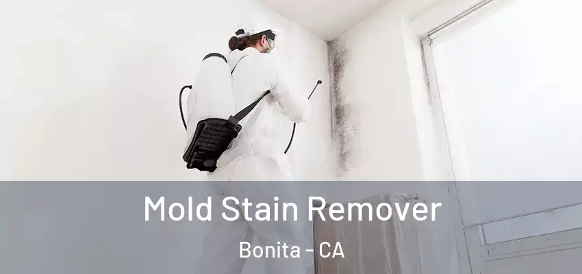  Mold Stain Remover Bonita - CA