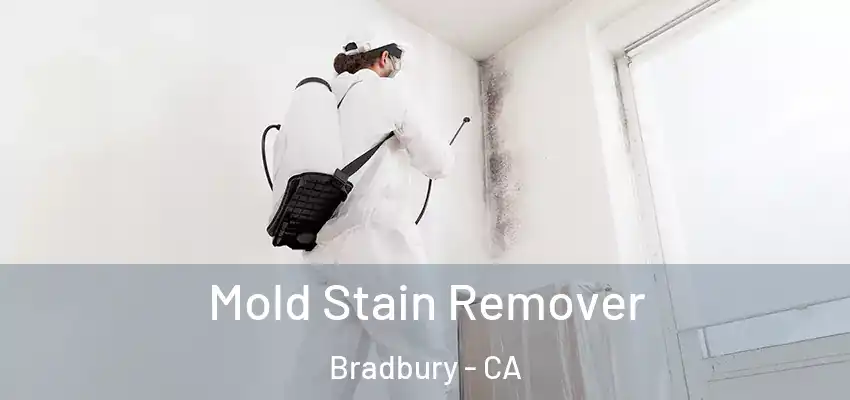 Mold Stain Remover Bradbury - CA