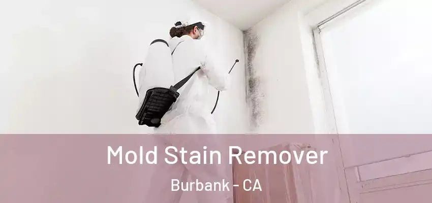 Mold Stain Remover Burbank - CA