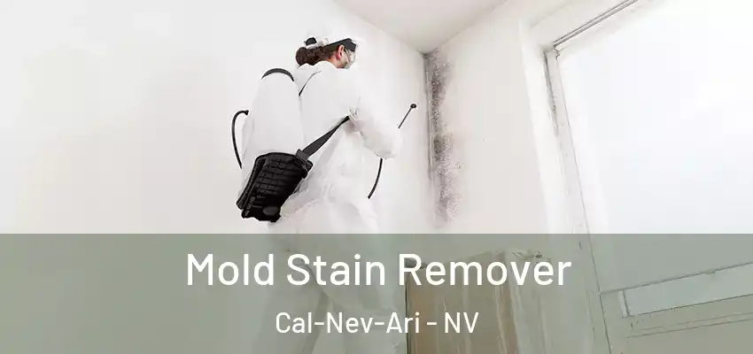  Mold Stain Remover Cal-Nev-Ari - NV