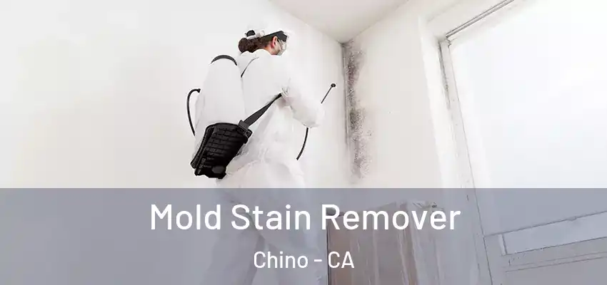  Mold Stain Remover Chino - CA