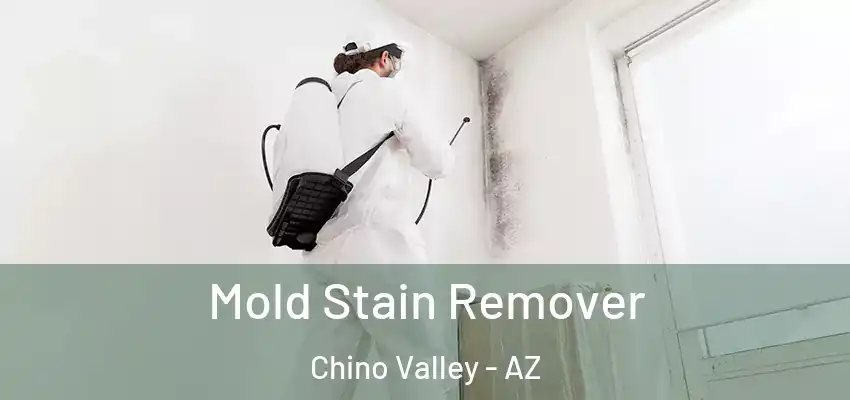  Mold Stain Remover Chino Valley - AZ