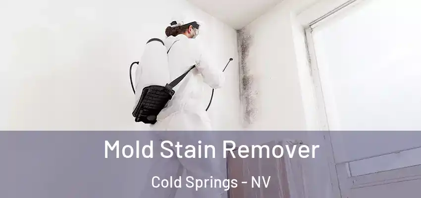  Mold Stain Remover Cold Springs - NV